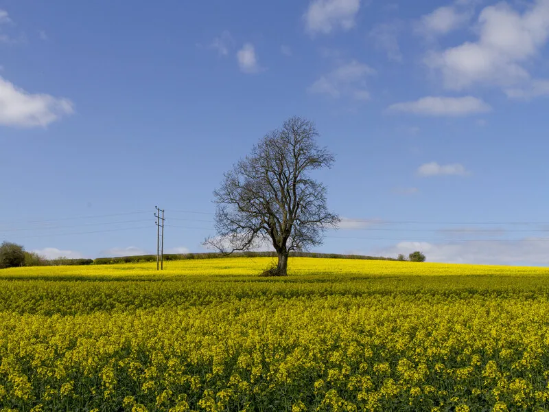 Wiltshire